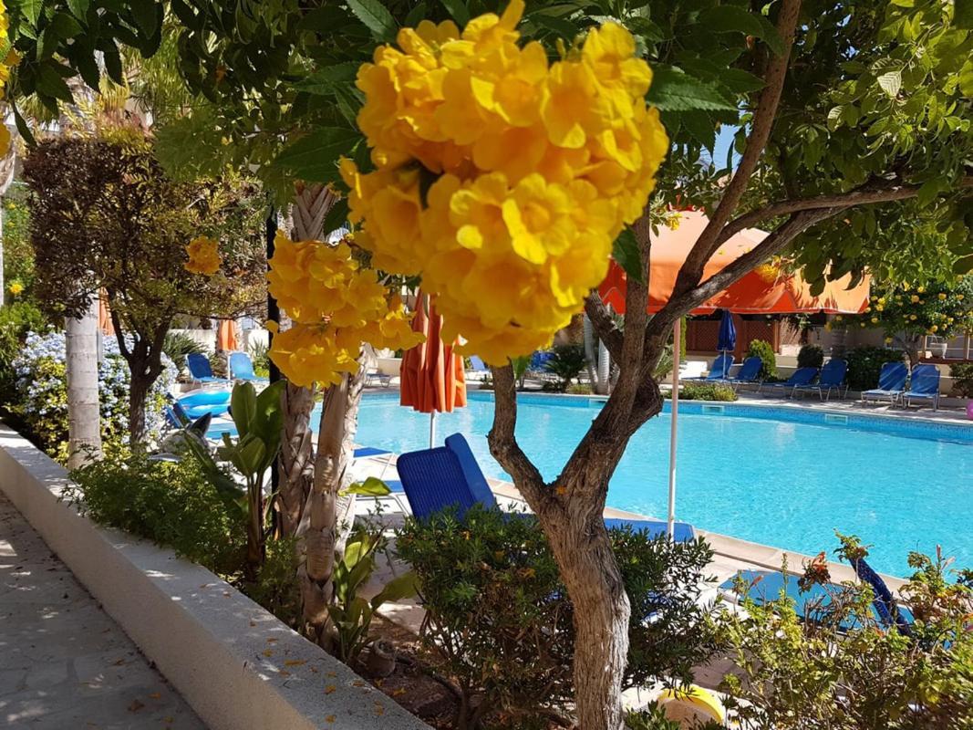 Hébergement de vacances Ilios In Kato *